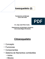 04 - Citoesqueleto (I) 2021-2022