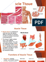 Lesson 3 Muscle Tissue