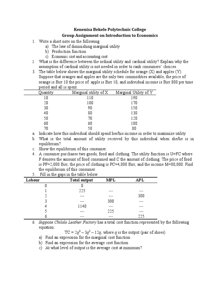 Introduction To Economics Group Assignment Kenenisa | PDF | Utility ...