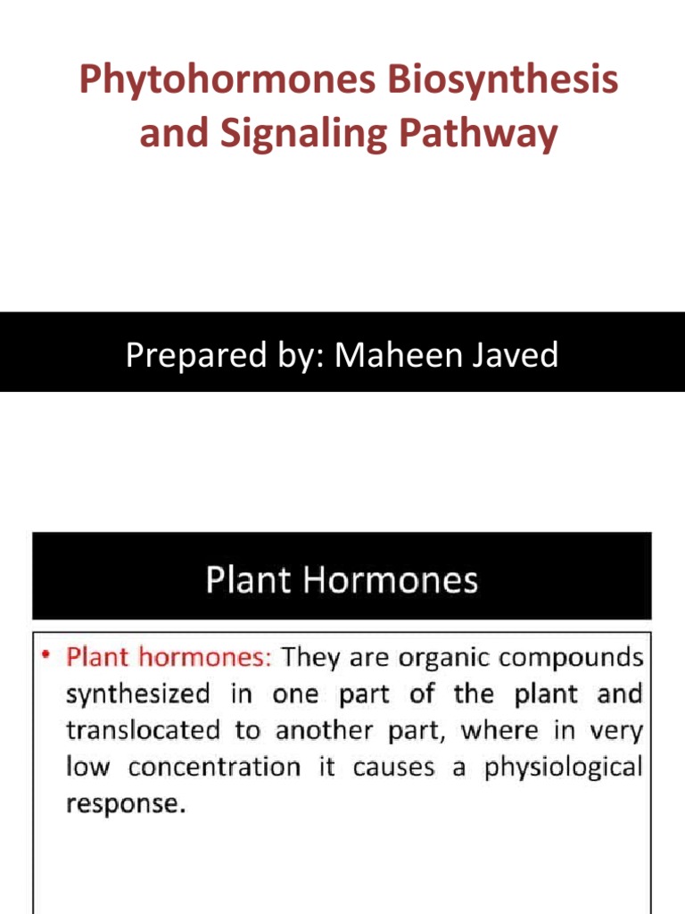 Biosynthesis of Plant Hormones PDF