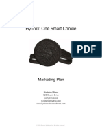 Sample Marketing Plan