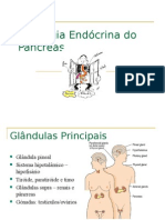 Fisiologia Endócrina Do Pâncreas