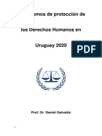 Mecanismos de Proteccion de Los DDHH en Uruguay 2020. Dr. Galvalisi