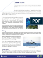 Oceans Information Sheet