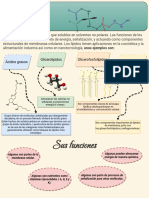 Infografía Lípidos y Glúcidos Biomateriales