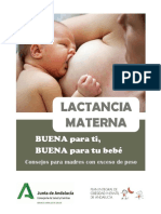 Lactancia Materna Web PIOBIN 2020