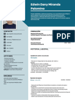 Edwin Miranda Palomino CV PDF