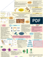 Mapa Mental - FUNGOSBACTÉRIASVÍRUS