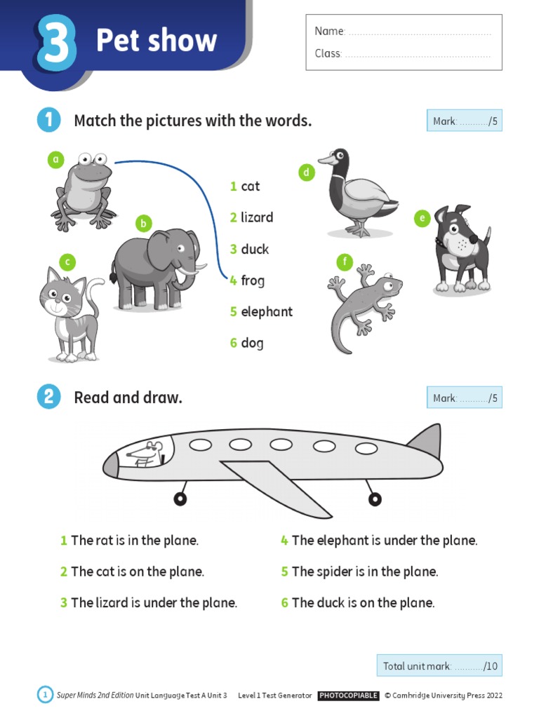 Super Minds Unit 3 Language Test | PDF