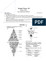 Sample Paper 10: Biology (044) Class XII Session 2022-23