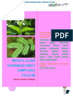 Modul Ajar Tanaman Obat Simplisia Folium