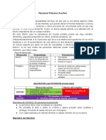 Resumen Gral. P. Aux.