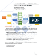 Sistematización Del SN (T.o 2017)