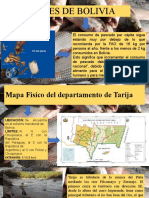 16-05-22 Defensa de Peces de Tarija