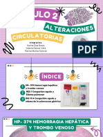 Expo Módulo 2: Corrección: Alteraciones Hemodinámicas