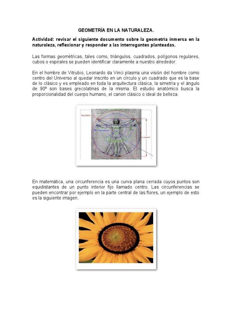 Geometría en la Naturaleza | PDF | Geometría | Naturaleza