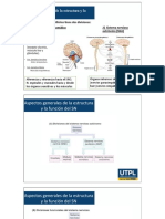 Diapositivas para Estudiar Bimestre 1