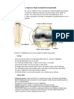 Proiect Ortopedia