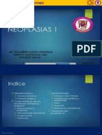 01 - Neoplasias I