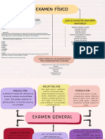 Mapa Conceptual Esquema Profesional Lineas Minimalista Multicolor