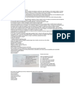 Historia de Pantalon PDF