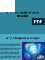 A Nyílt És A Mélytengerek Élővilága