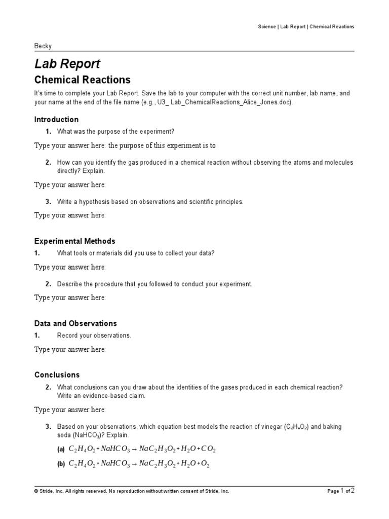 Lab Report Chemical Reactions PDF