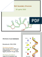 Lezione19 PD4 Struttura Secondaria RNA