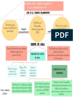 Mapa Conceptual M. Gabriela Castillo