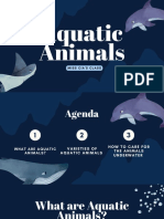Aguatic Animals