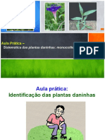 AULA 3 - Plantas Daninhas Monocotiledôneas