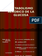 Metabolismo Aerobico de La Glucosa
