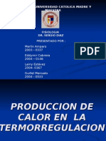 Product Ores de Calor3