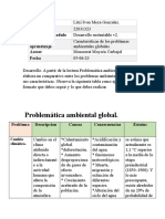 Meza - Litzi - Cuadro - Sinóptico Gurus