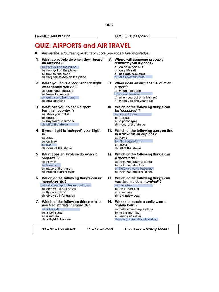 Quiz-Airport and Air Travel Worksheet | PDF