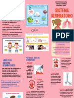 Triptico Siste Resp