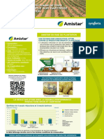 Amistar FTP