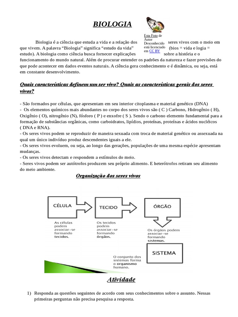 Atividade 1 | PDF | Organismos | Vida, image size:768x1024