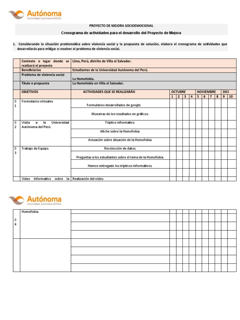 Cronograma de Actividades para El Desarrollo Del Proyecto de Mejora | PDF