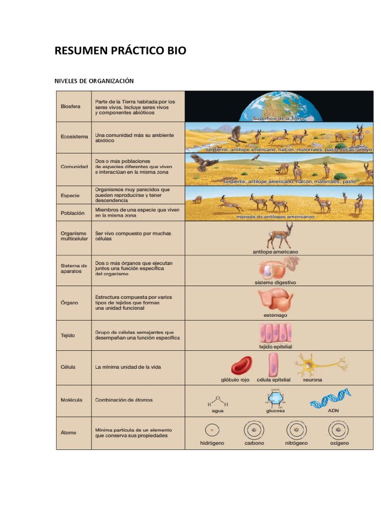 resumen-pr-ctico-biologia-humana-psicologia-unlp-pdf