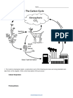 Analyzing Graphics - The Carbon Cycle