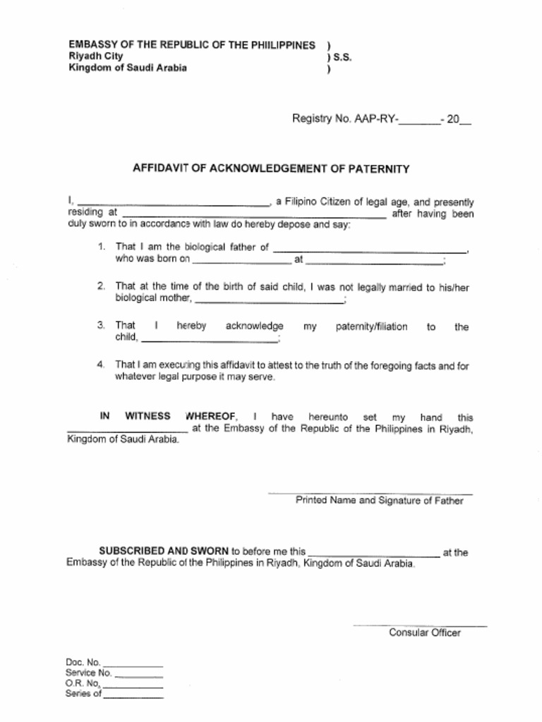 Affidavit Paternity | PDF