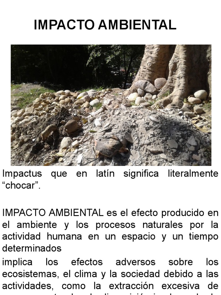 Tipos de Impacto Ambiental y Efectos | PDF | Entorno natural ...