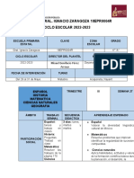 PLAN Original Semana 11