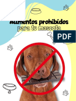 Alimentos Prohibidos para Tu Mascota