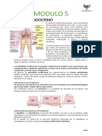 Resumen Del Bloque 5 Histologia