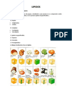 Tipos y funciones de los lípidos en