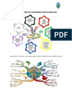 Organizadores Del Conocimiento