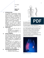 Sistema Locomotor