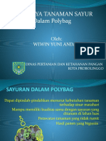 Budidaya Sayuran Dalam Polybag